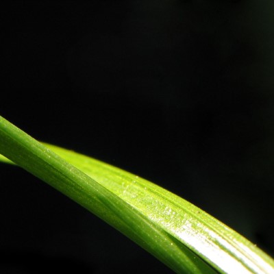 1920 x 1080 HD Wallpapers 205